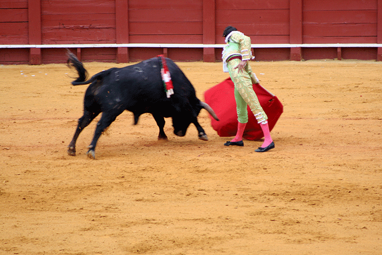 







Bull and matador during a bullfight in Seville, Spain