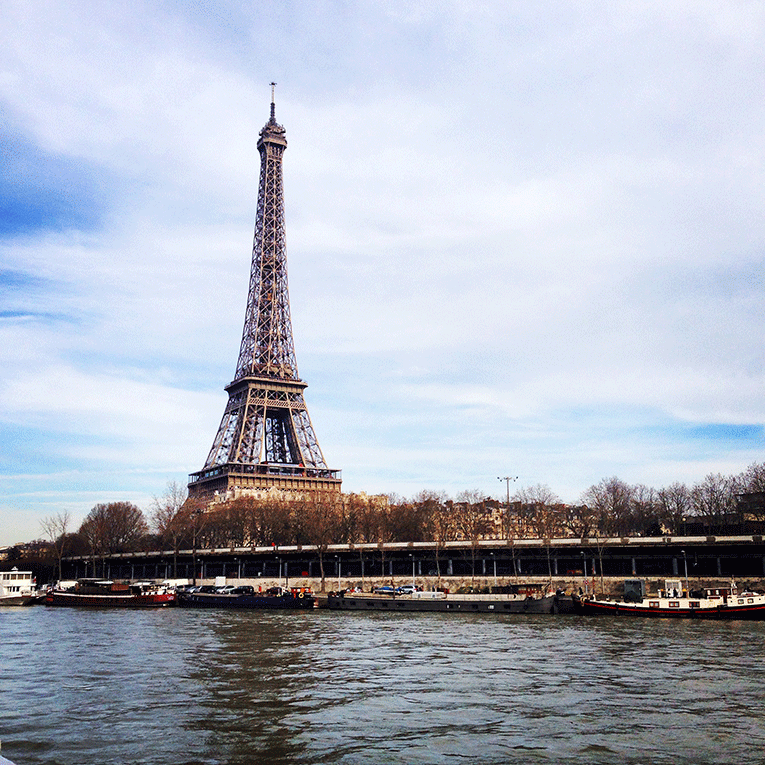 View of the Eiffel Tower from the banks of the Seine in Paris, France