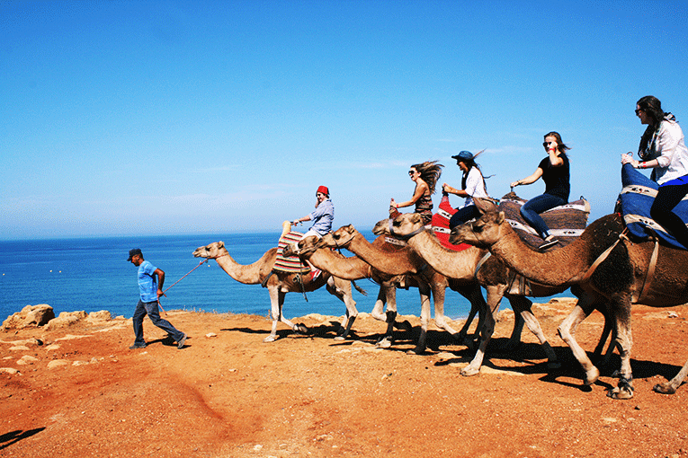 







Camel riding in Morocco