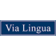 Via Lingua Florence logo