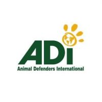 Animal Defenders International