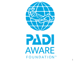 AWARE foundation support