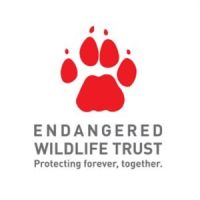 Endangered Wildlife Trust and the Cheetah Metapopulation Project