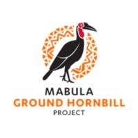 Mabula Ground Hornbill Project