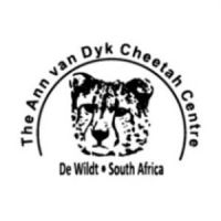 Ann van Dyk