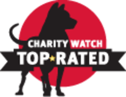 Top Rated Charity