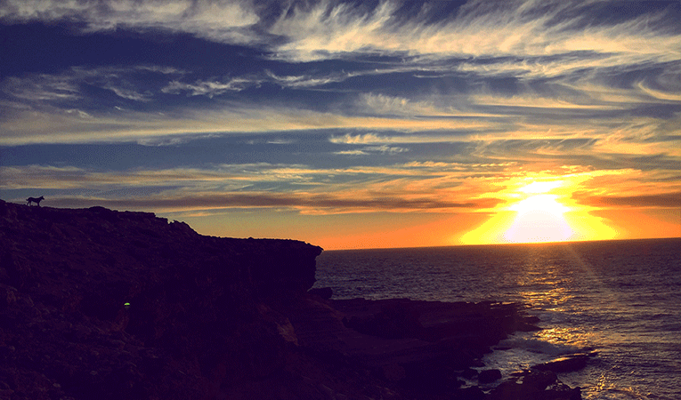 Beautiful coast scenery from out my own backyard