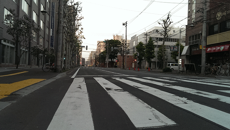 







A street in Sapporo, Japan