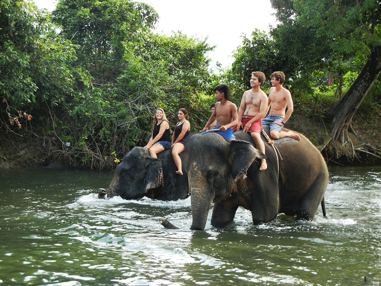 Riding elephants in Thailand