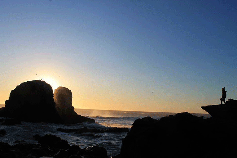 Punta de Lobos, Chile