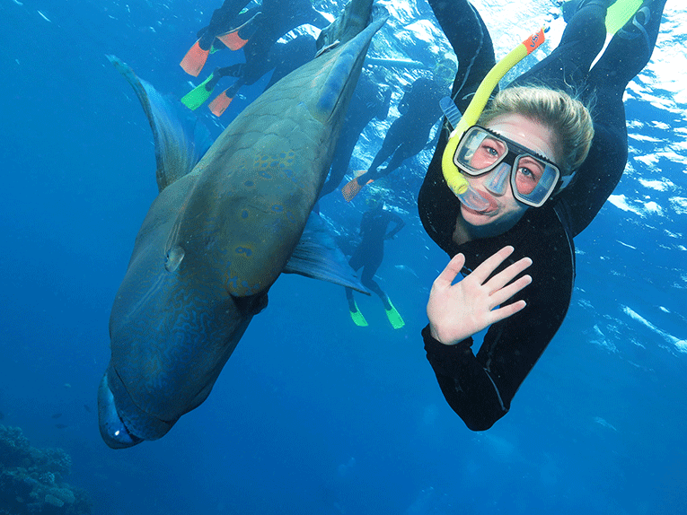 Snorkeling in the Great Barrier Reef