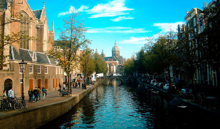 pros and cons of studying in netherlands