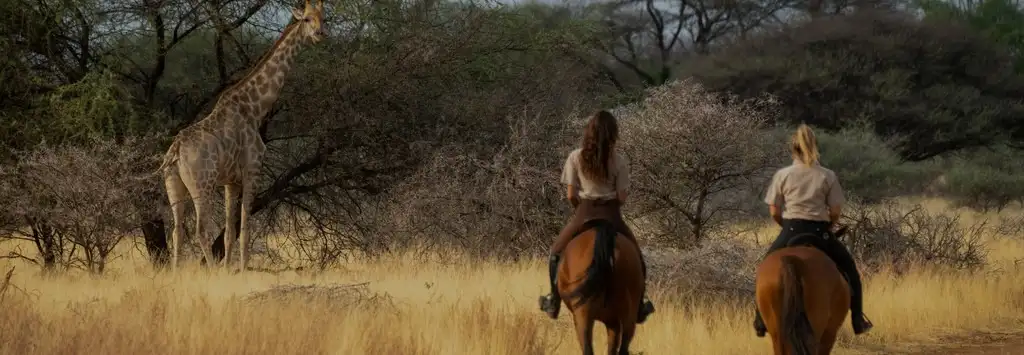 African Horse Safaris
