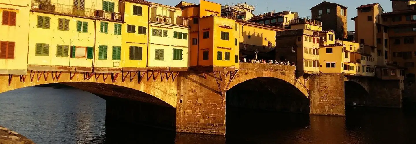 Via Lingua International LLC