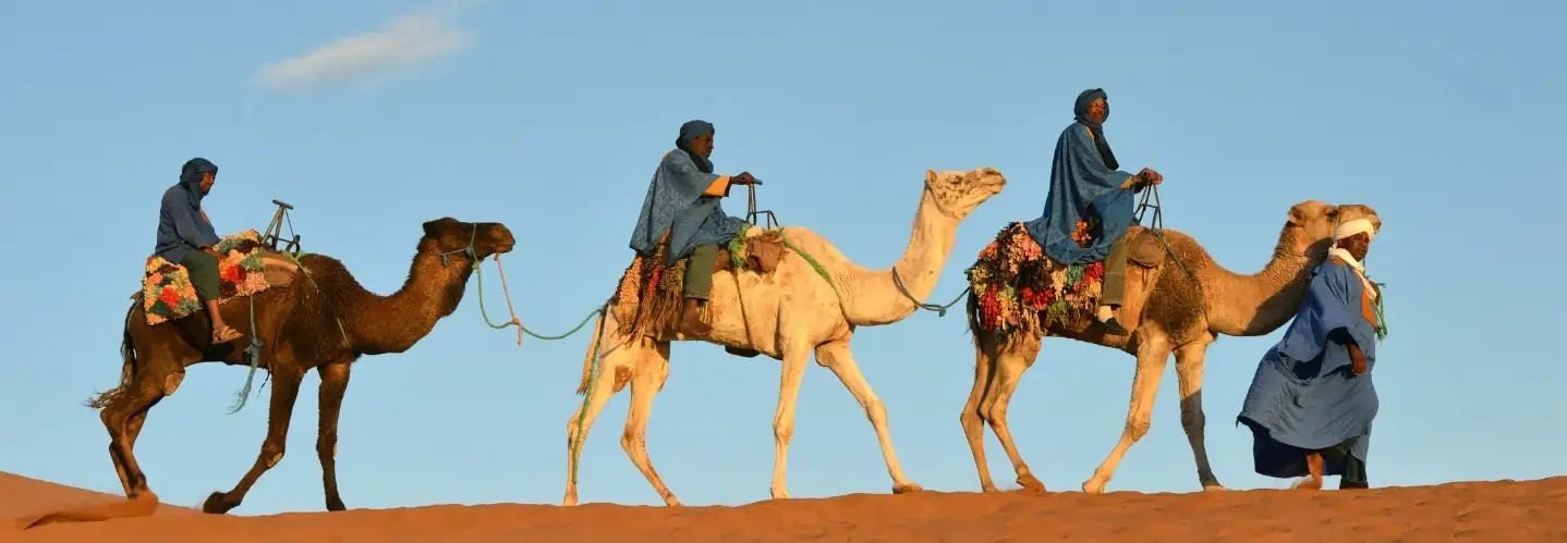 Study Abroad in Morocco (Al Akhawayn University)