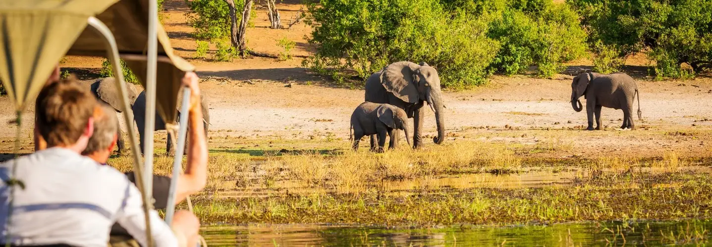 Study Abroad in South Africa (Stellenbosch University)