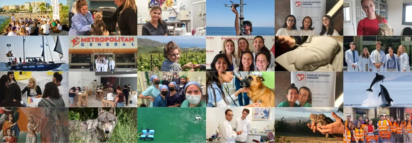 Cerca Trova - cover photo