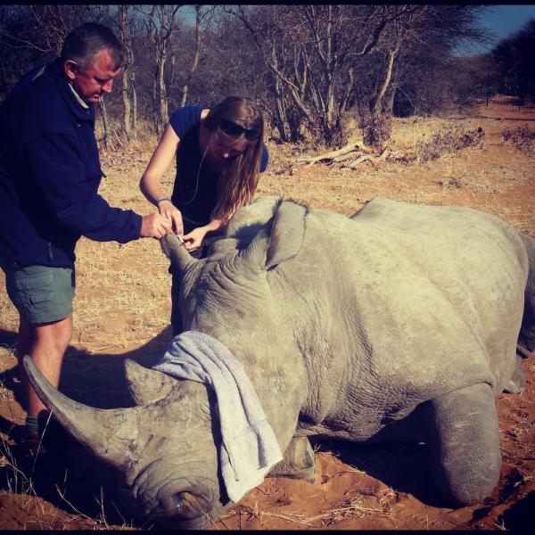 Personalized Veterinary Experience in South Africa