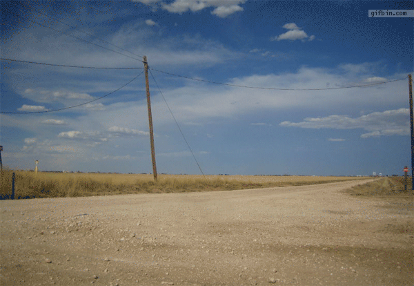 A tumbleweed rolling across a road