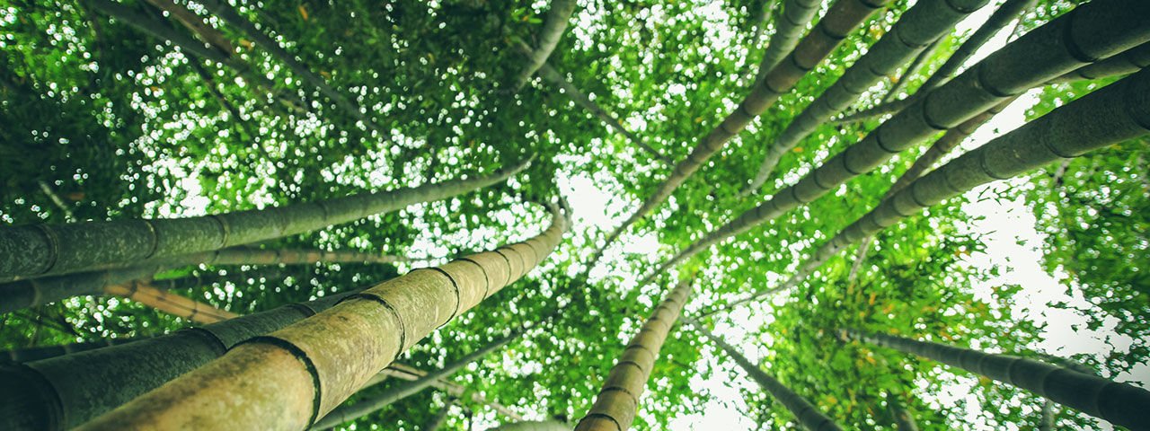 8 Fun Activities in Brazil to Keep Adventure-Seekers Busy