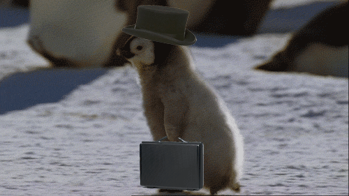 Penguin walking with a suitcase GIF