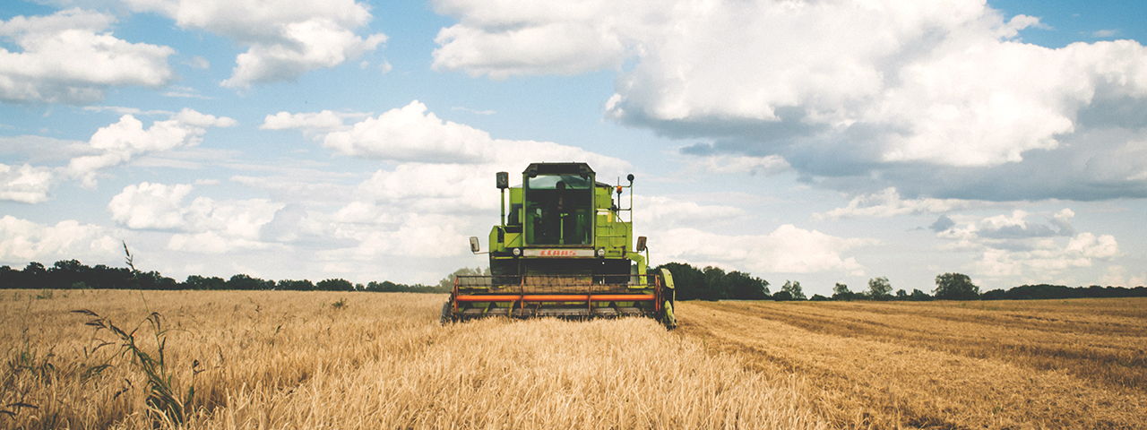 Summer visual data 7