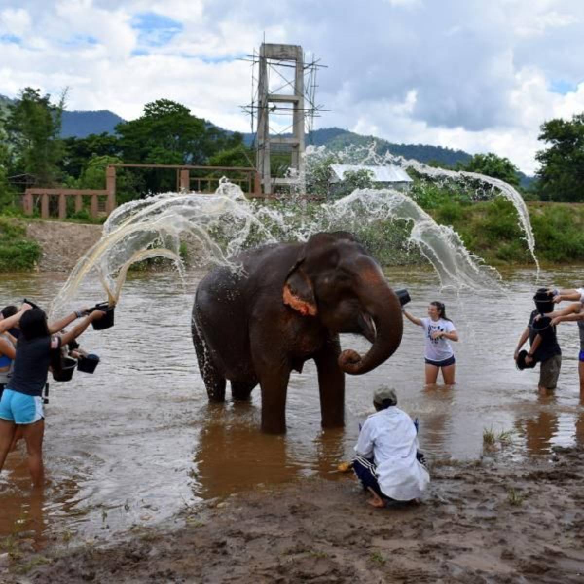teens at elephant sanctuary thailand
