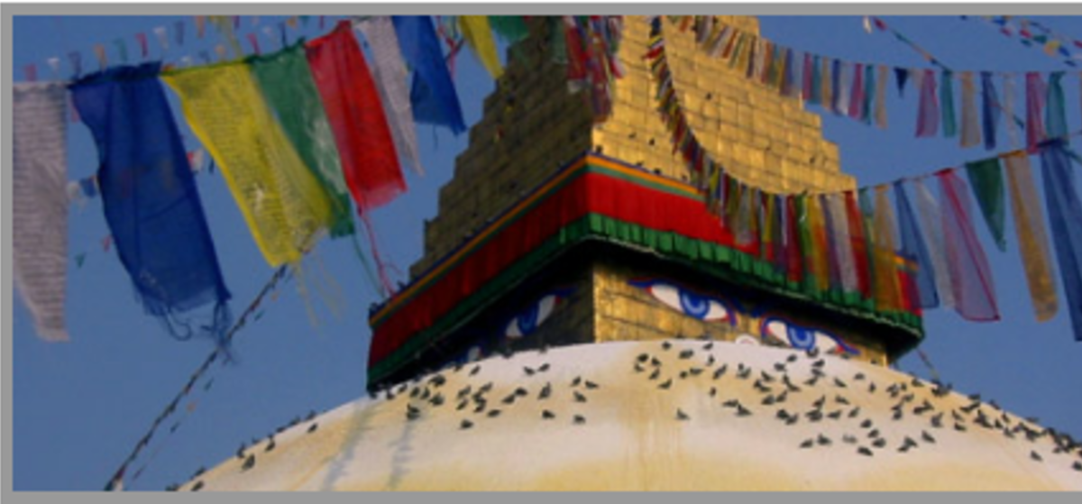 Nepal Semester: Himalayan Studies (Gap Year) — photo 5