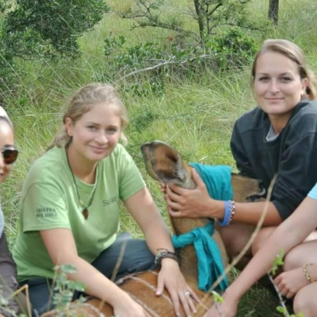 South Africa - Pre-Vet Wildlife Internship