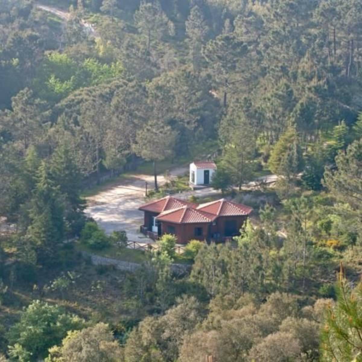 Portugal - Wolf Conservation and Lisbon Experience