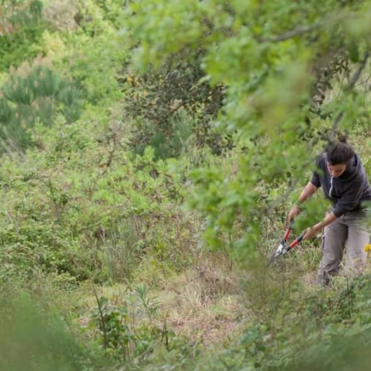 Portugal - Wolf Conservation and Lisbon Experience