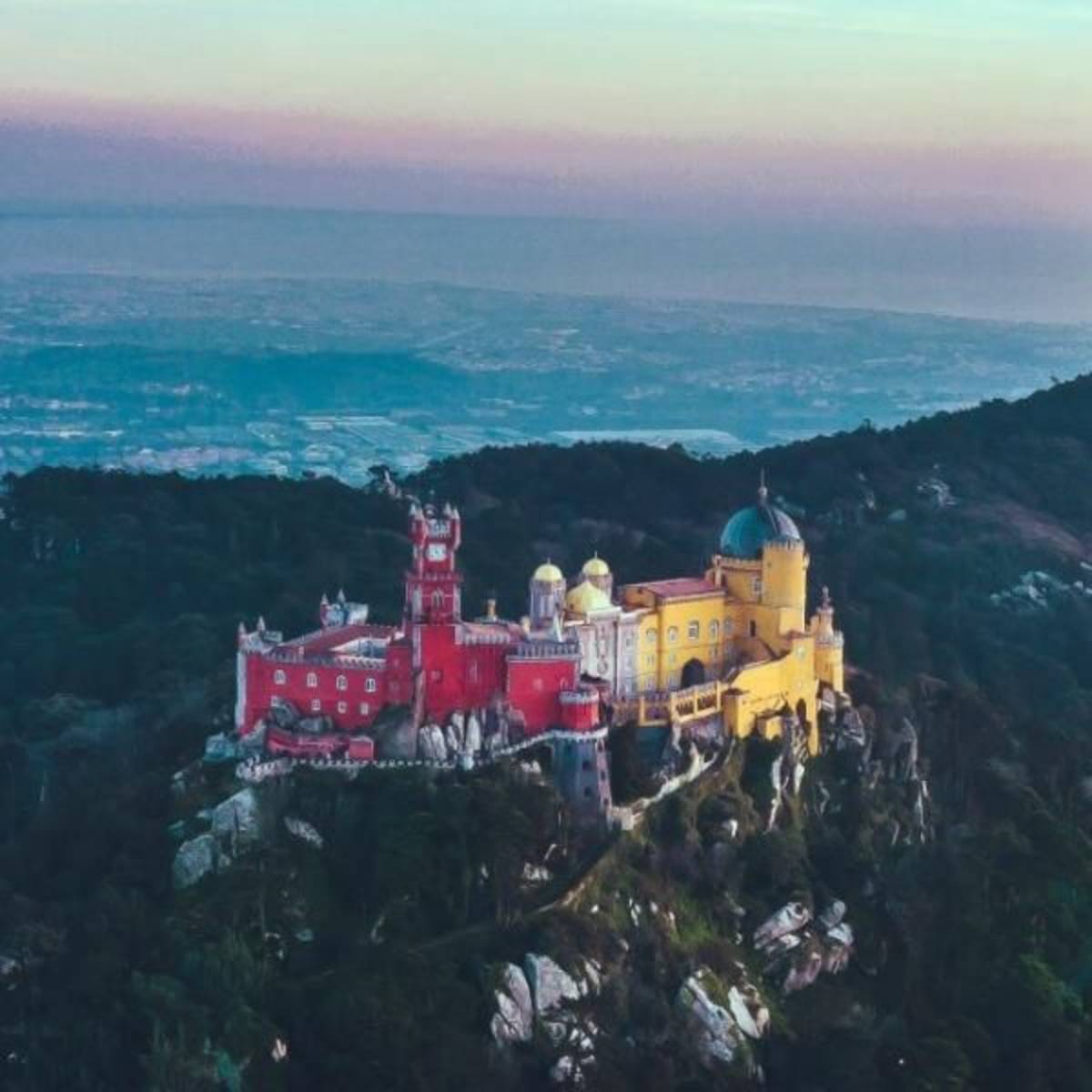 Portugal - Wolf Conservation and Lisbon Experience