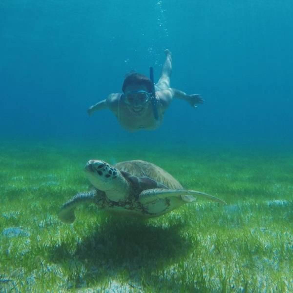Volunteer in Sea Turtle Conservation