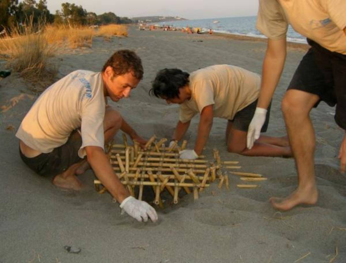 Greece - Sea Turtle Conservation - Teen Volunteering — photo 4