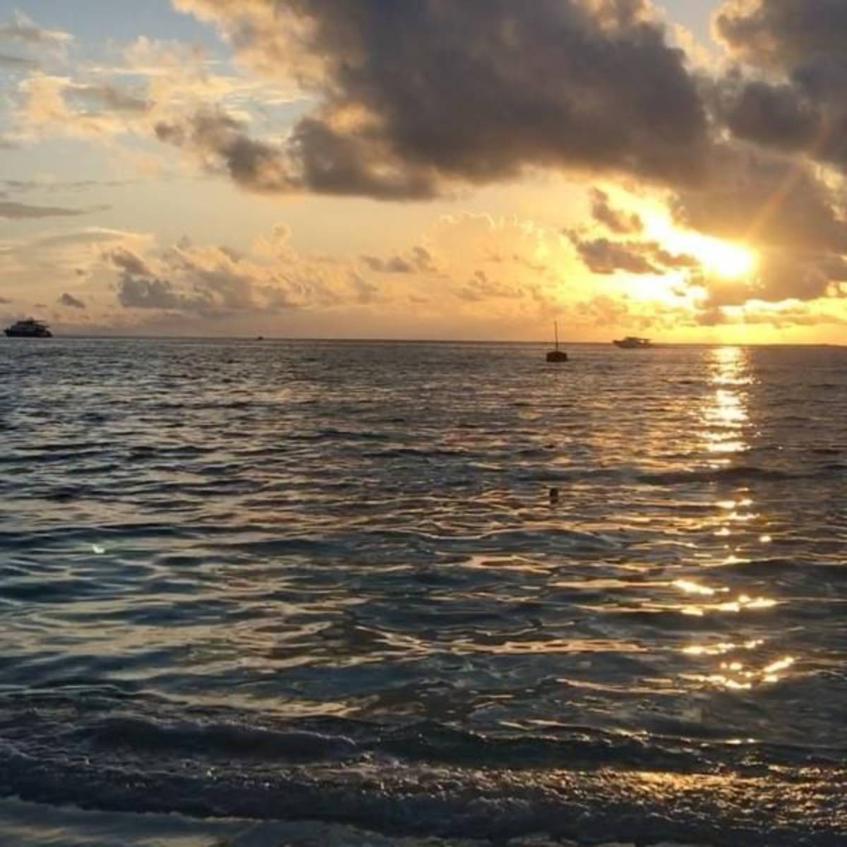 Volunteer in the Maldives