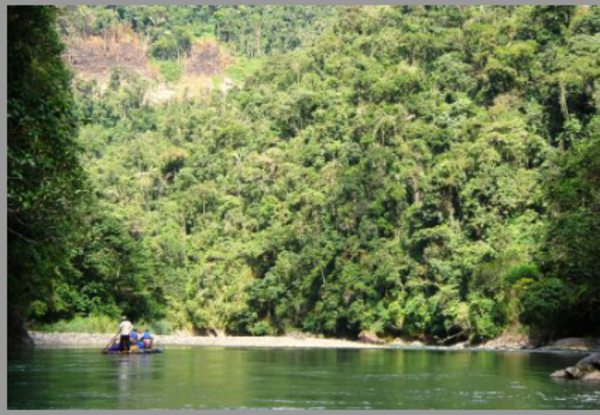 South America Semester: Andes & Amazon (Gap Year) — photo 6