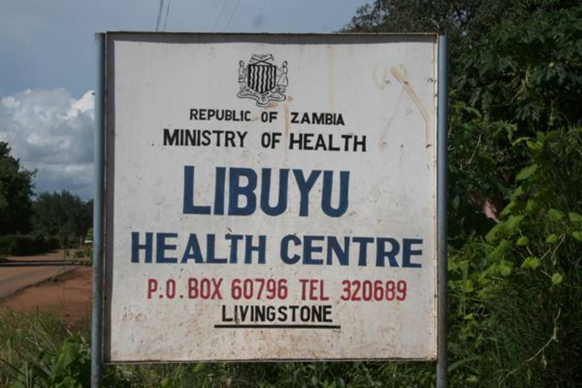Public Healthcare Volunteering in Zambia with African Impact — photo 8