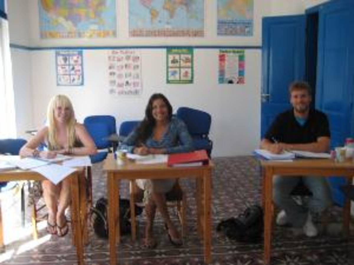 Via Lingua International LLC — photo 5