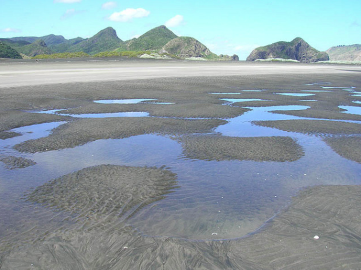 IFSA University of Auckland Partnership — photo 1