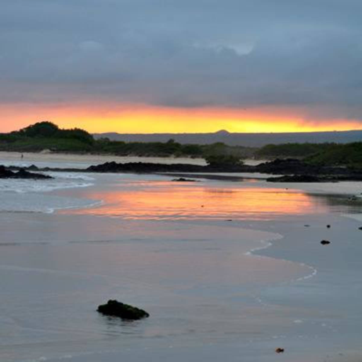 Social Media Volunteer and Intern in Galapagos — photo 8