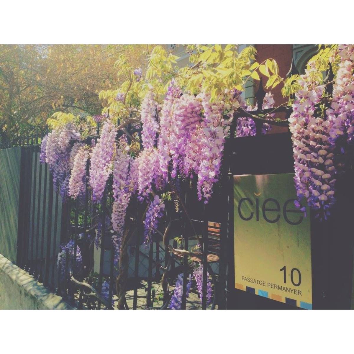 Barcelona Study Abroad in Spring