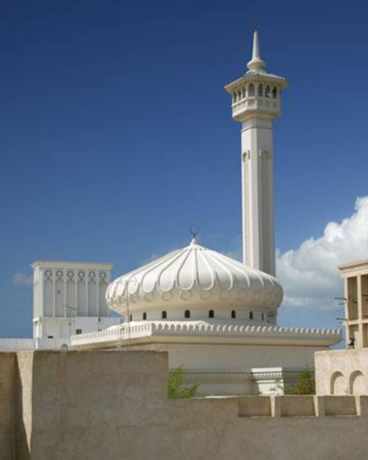 Get Paid to Teach English Abroad in Saudi Arabia — photo 6
