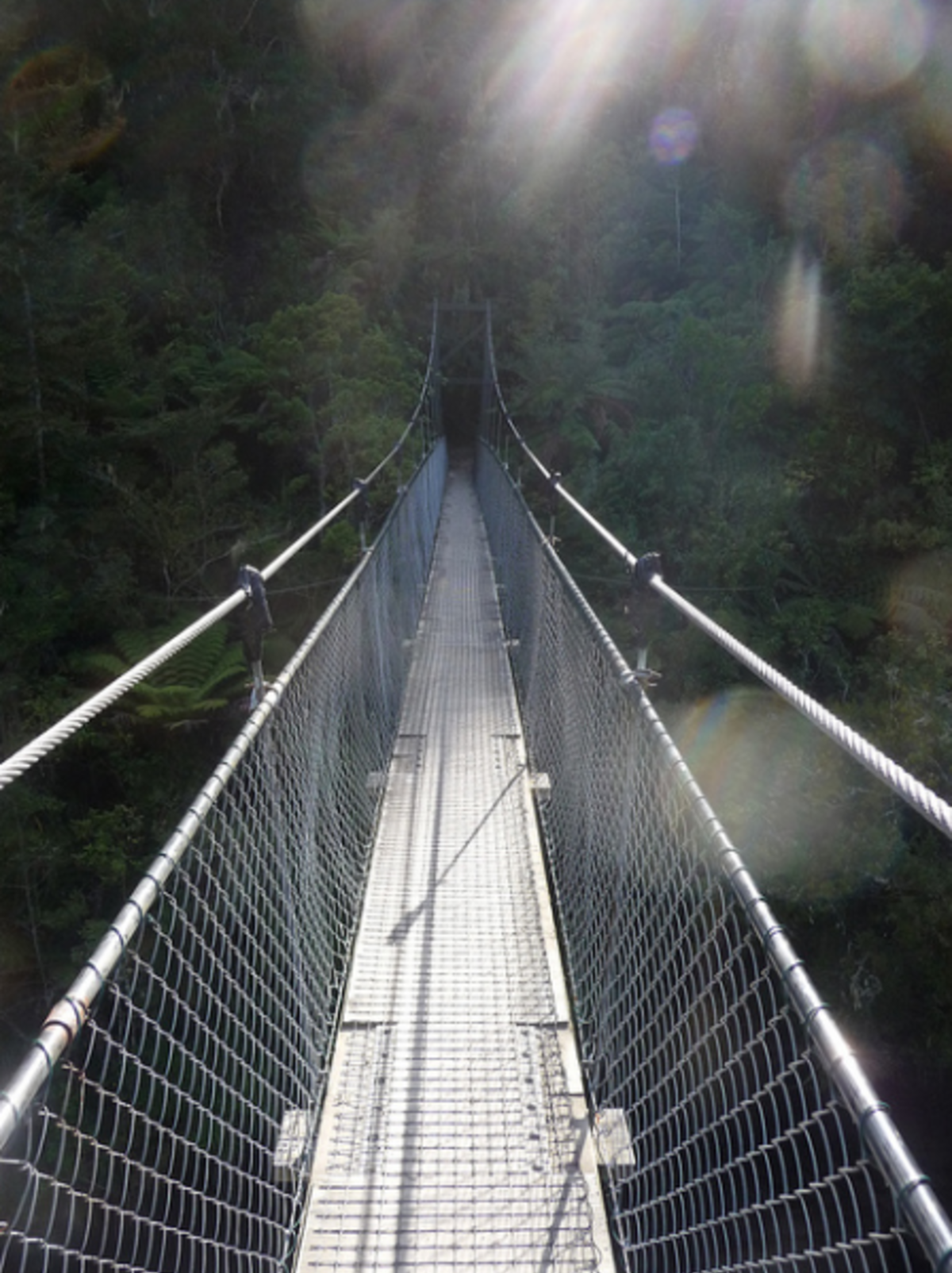 IFSA University of Canterbury Partnership — photo 3
