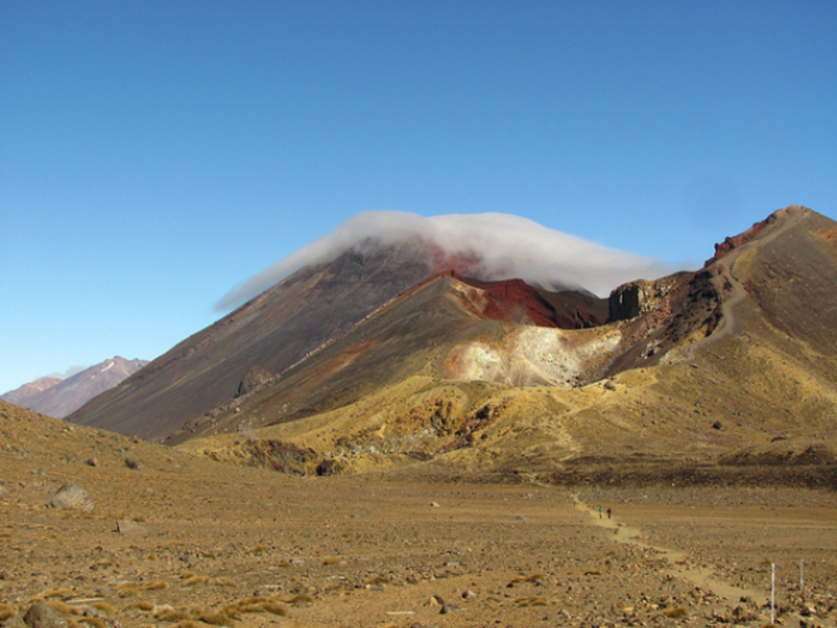 IFSA University of Otago Partnership — photo 3