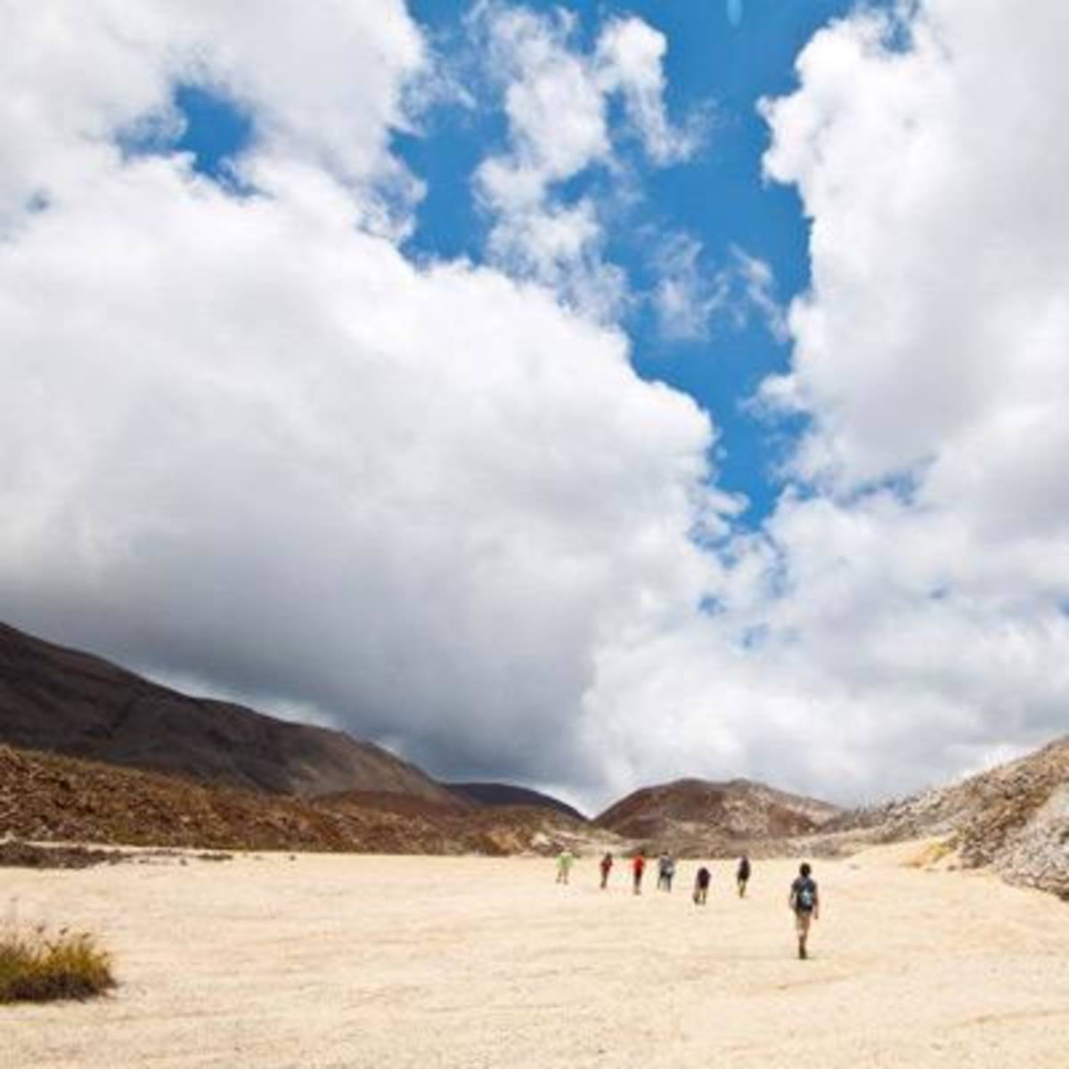 Social Media Volunteer and Intern in Galapagos — photo 4