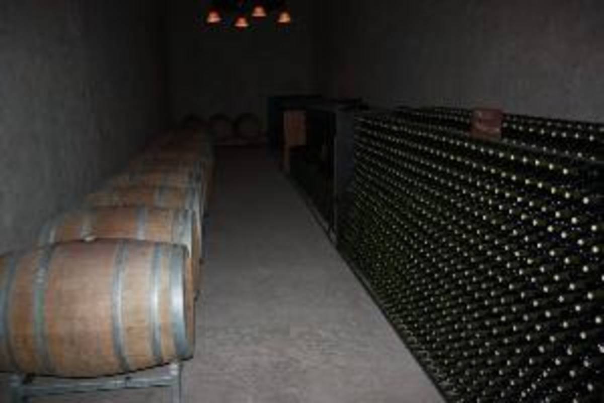 Mente Argentina: Wine Program + Optional Spanish — photo 3