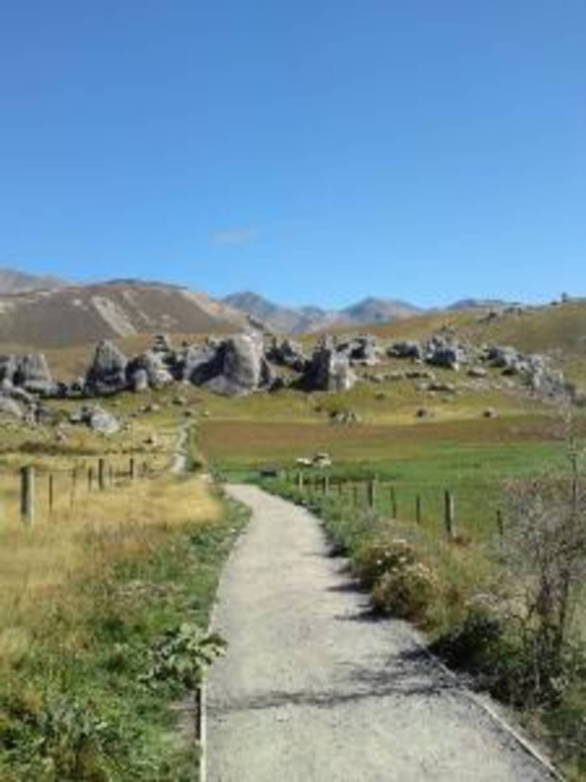 New Zealand - Conservation Experience — photo 1