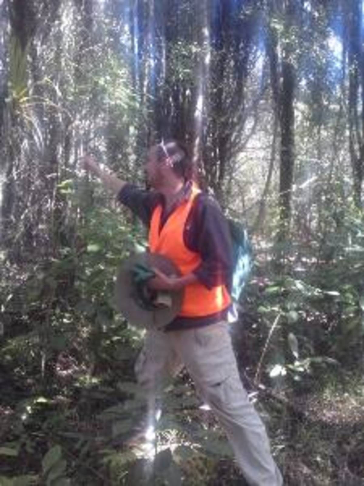 New Zealand - Conservation Experience — photo 5