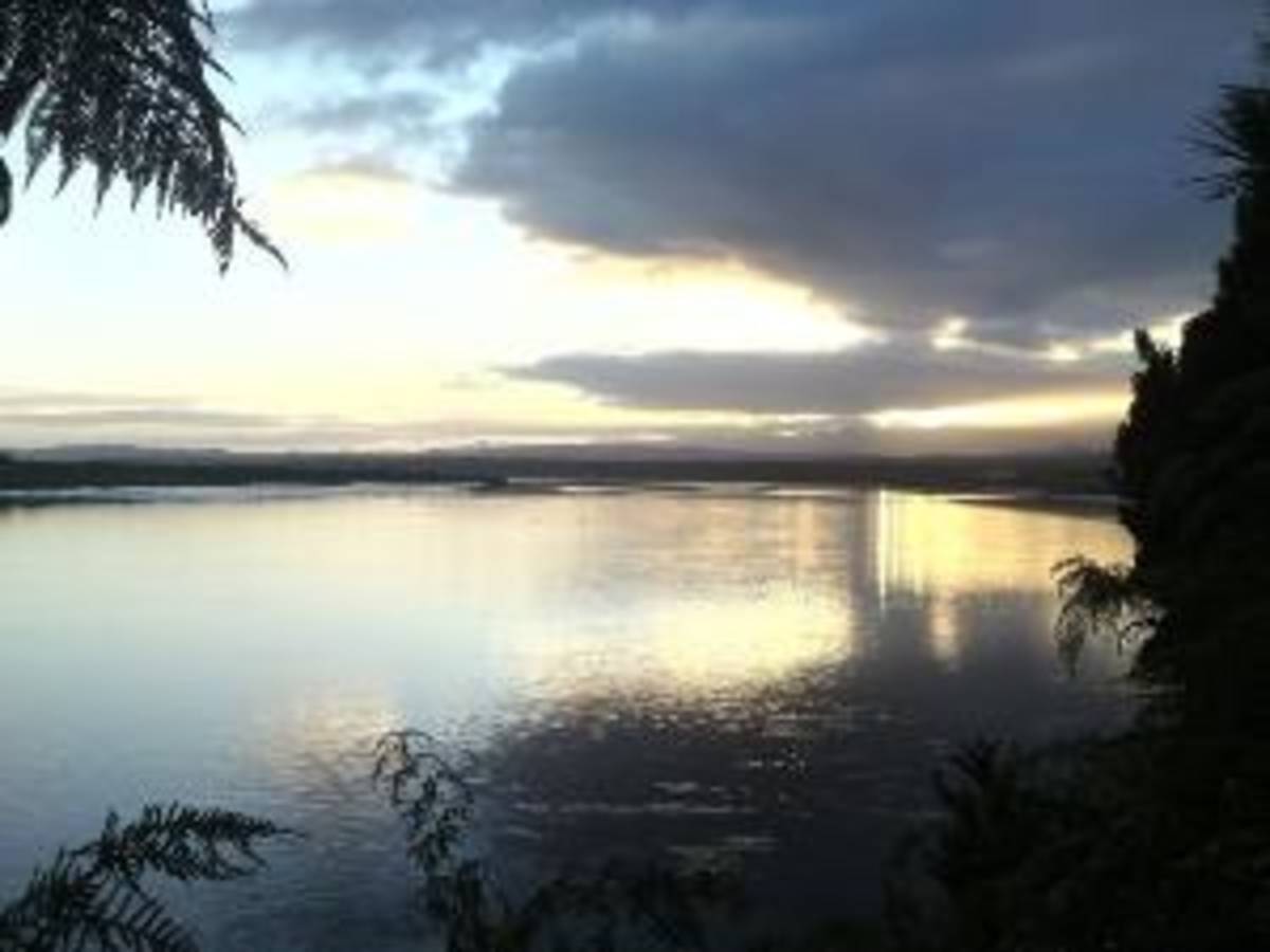 New Zealand - Conservation Experience — photo 2