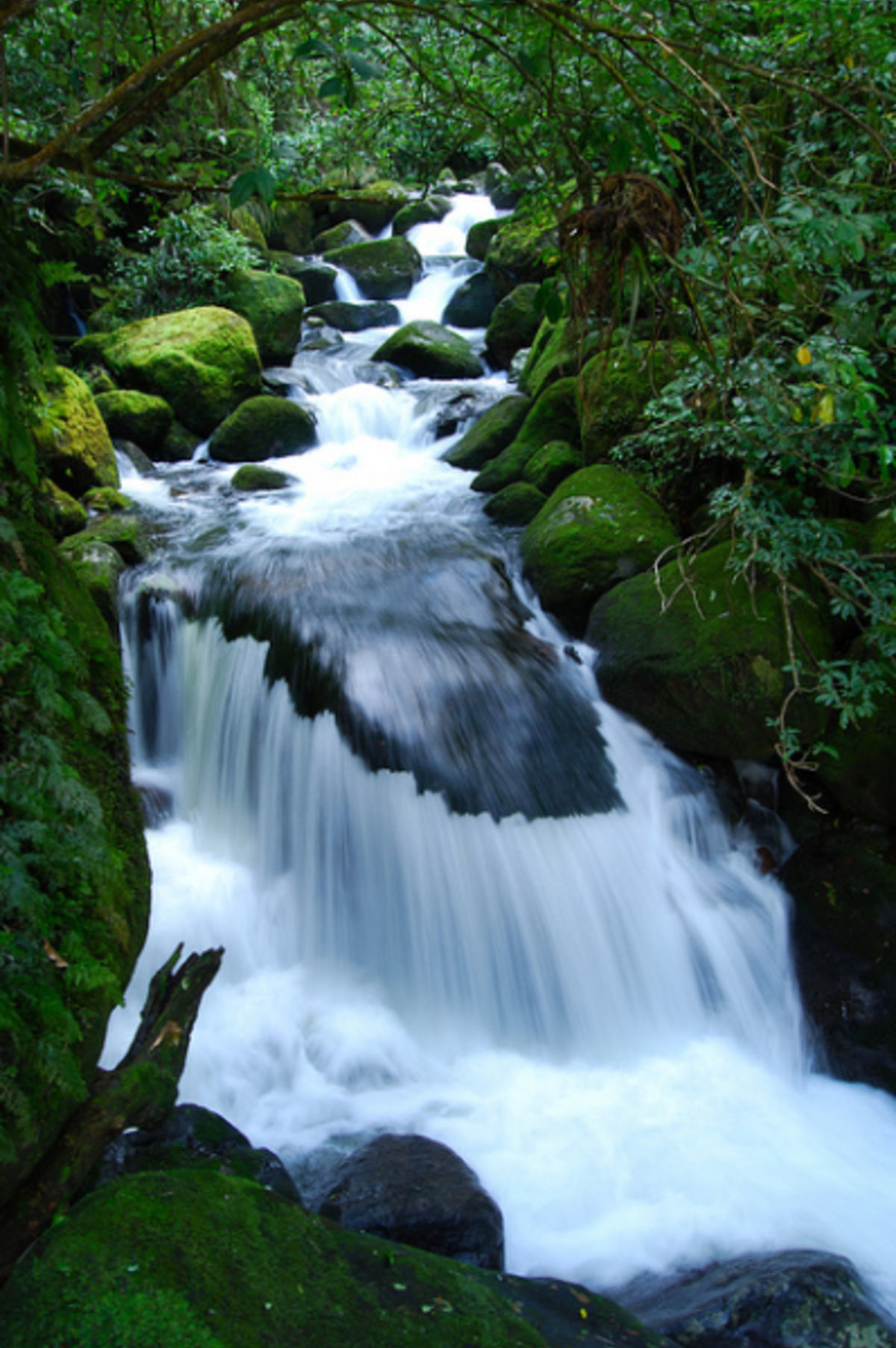 IFSA University of Canterbury Partnership — photo 4